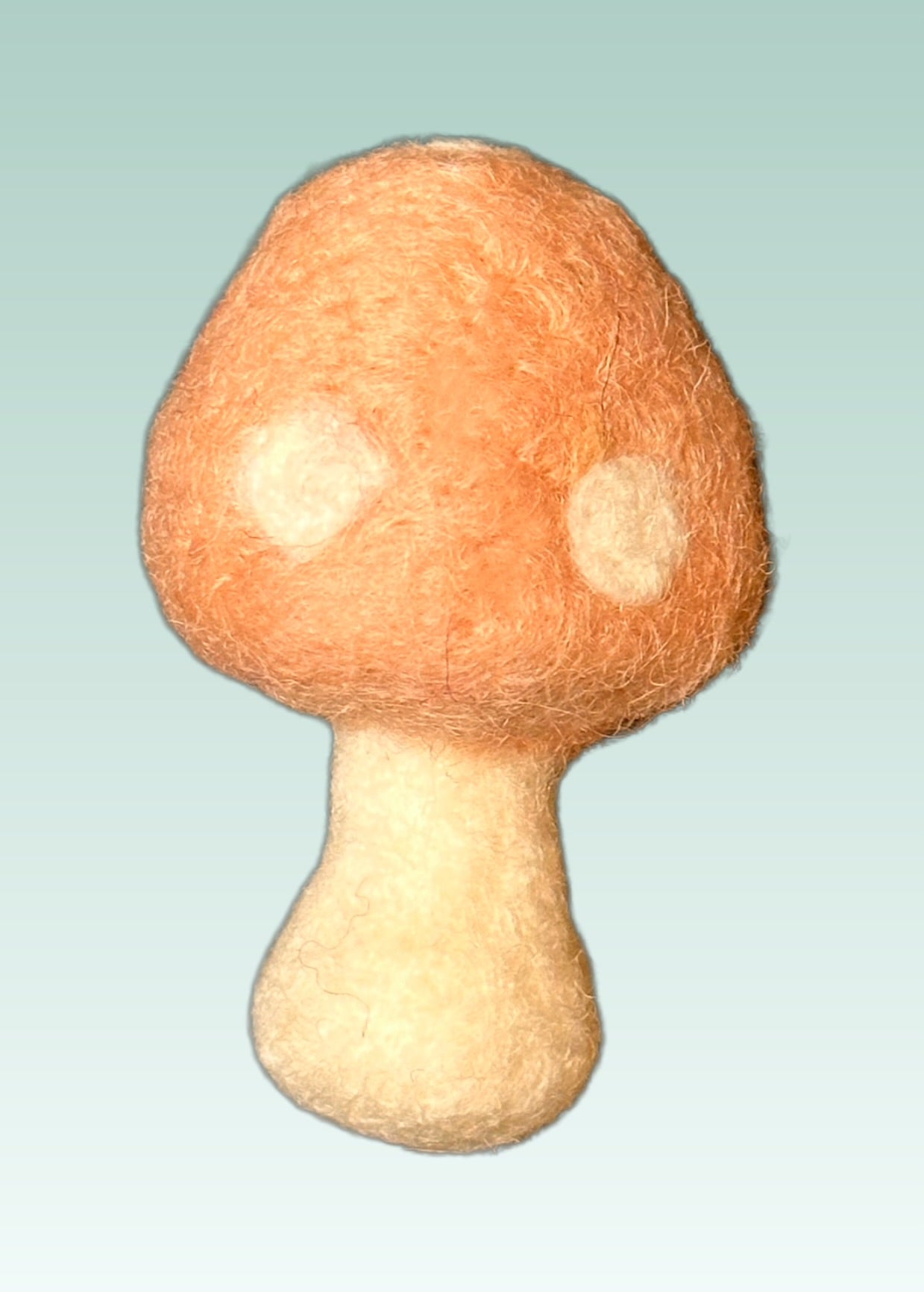 FunGuy Freshie Mushroom Blush