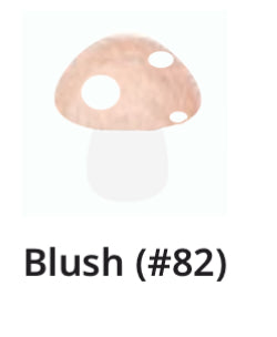 FunGuy Freshie Mushroom