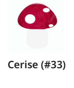 FunGuy Freshie Mushroom