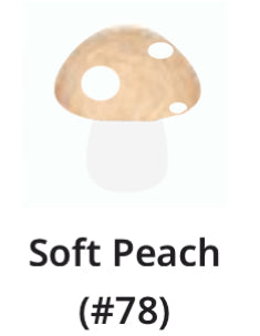 FunGuy Freshie Mushroom