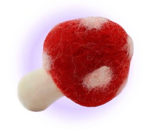 FunGuy Freshie Mushroom