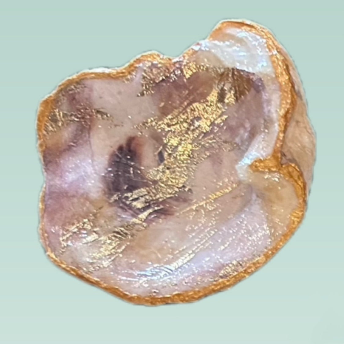FunGuy Oyster Shell Soap Dish